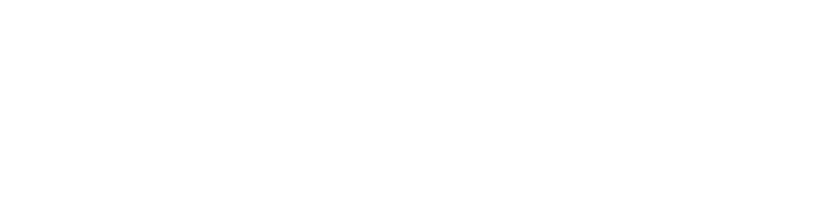 MARS logo