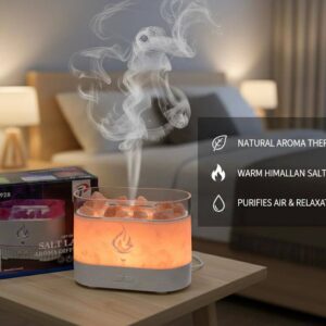Salt Lamp Aroma Diffuser FT-1928 | Random Color
