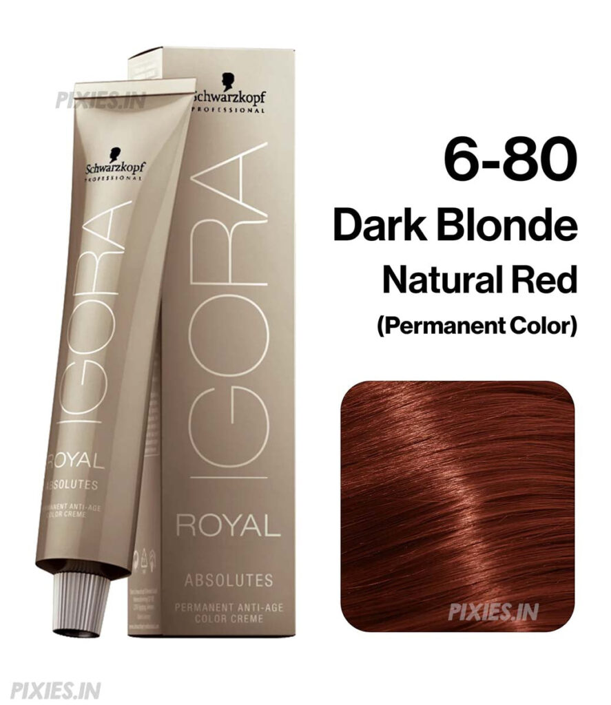 Schwarzkopf Professional Igora Royal Absolutes Permanent Color Creme (6-80 Dark Blonde Red Natural)